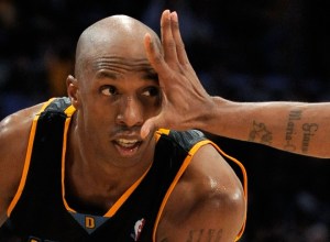 83009817KD021_DENVER_NUGGET